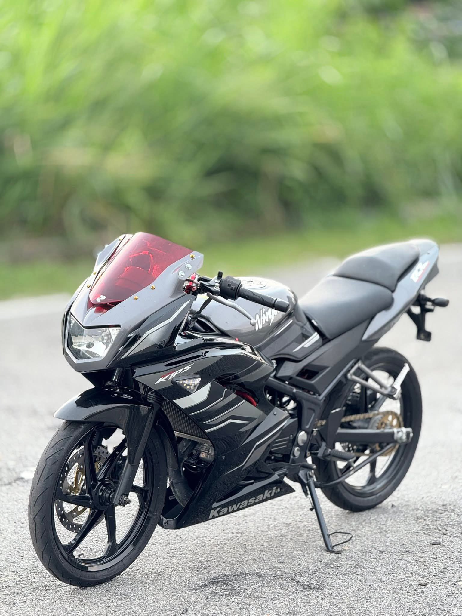 Kawasaki rr 150